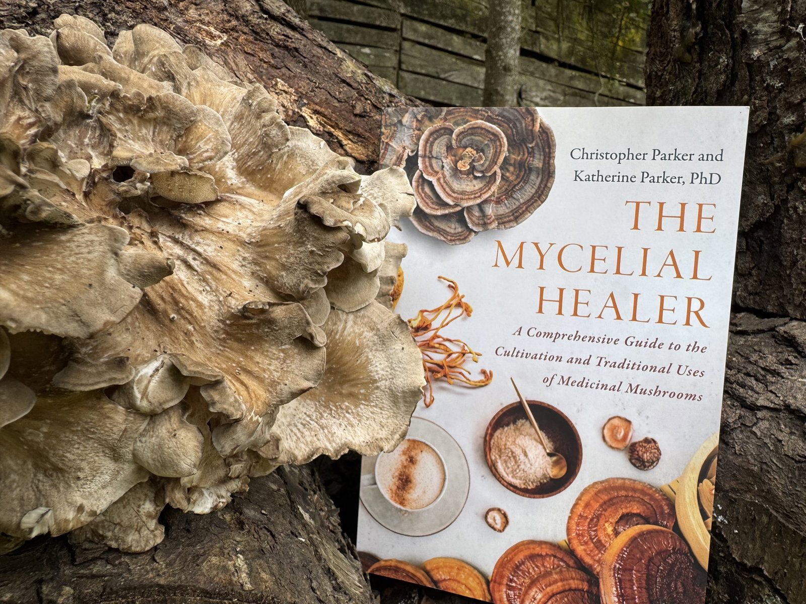 The Mycelial Healer beside a hen-of-the-woods on the farm