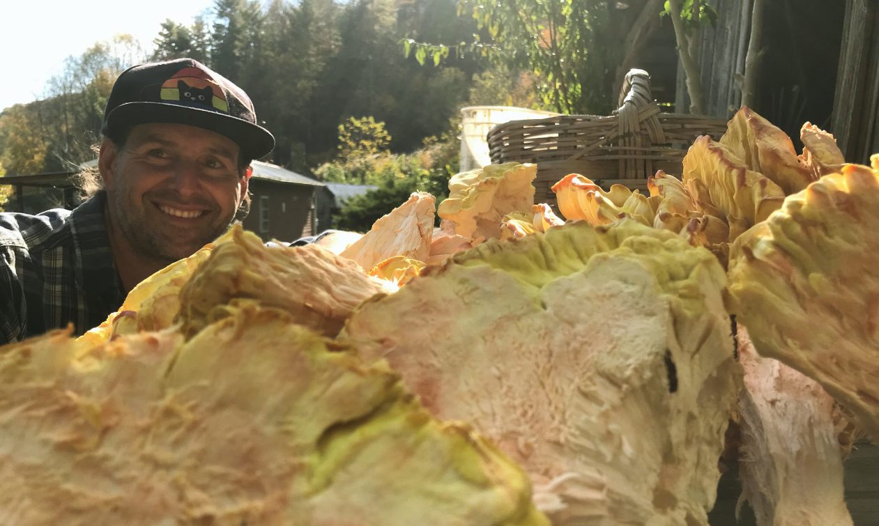Chris Parker with a wild harvest on the farm