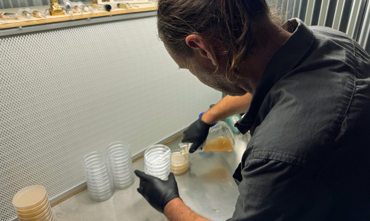 Sterile lab work at The Forest Farmacy
