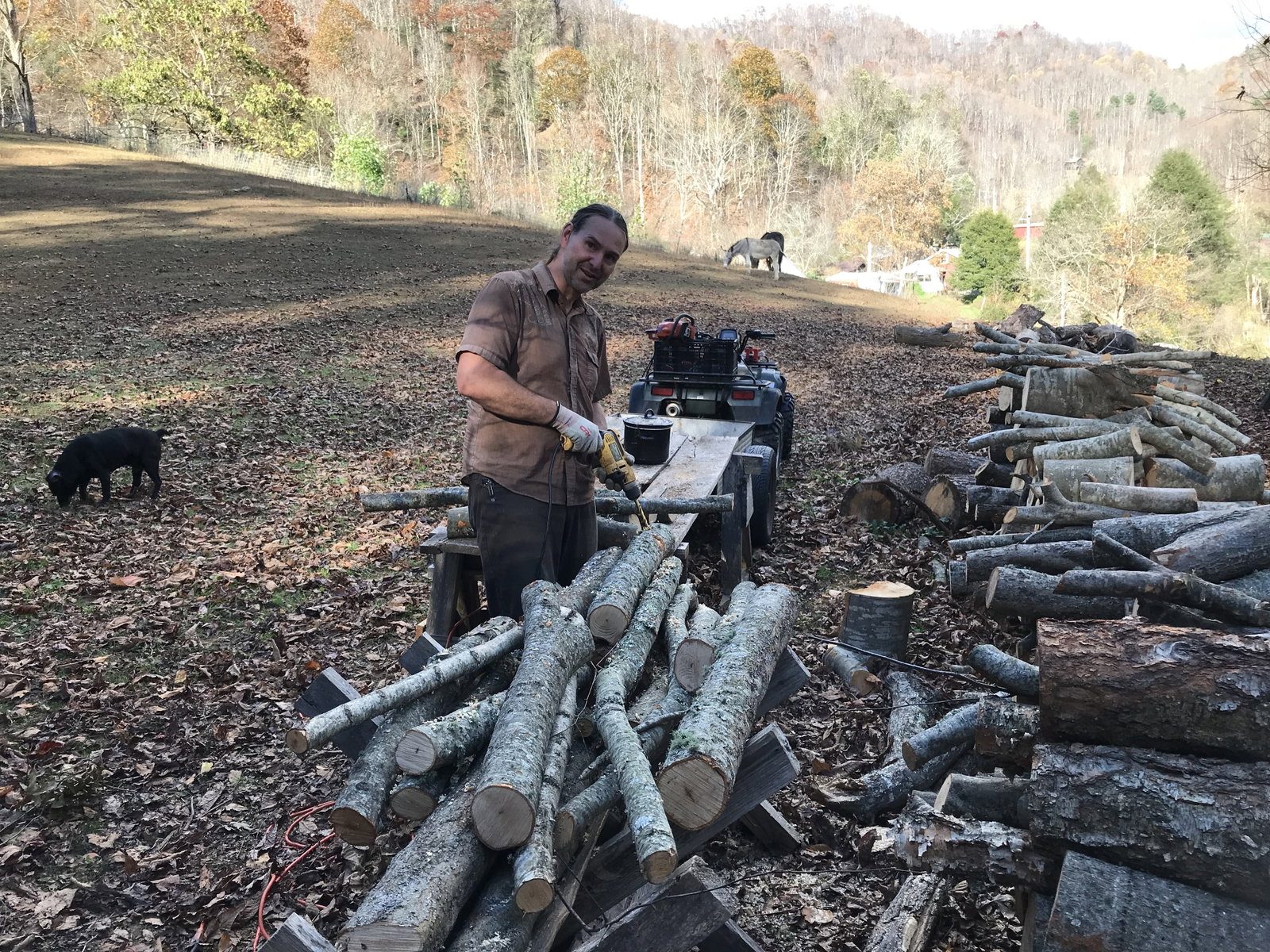 A working log yard on the farm