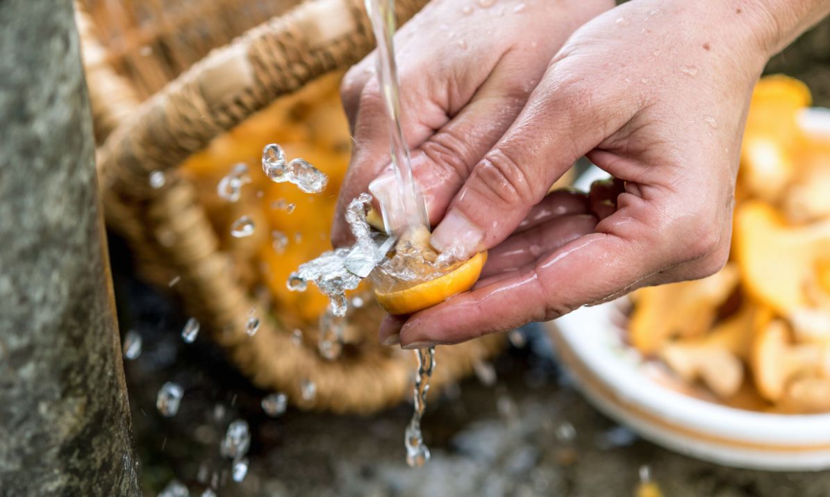 Hands rinsing a freshly picked harvest under running water